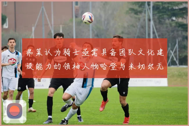 弗莱认为骑士亟需具备团队文化建设能力的领袖人物哈登与米切尔无法胜任